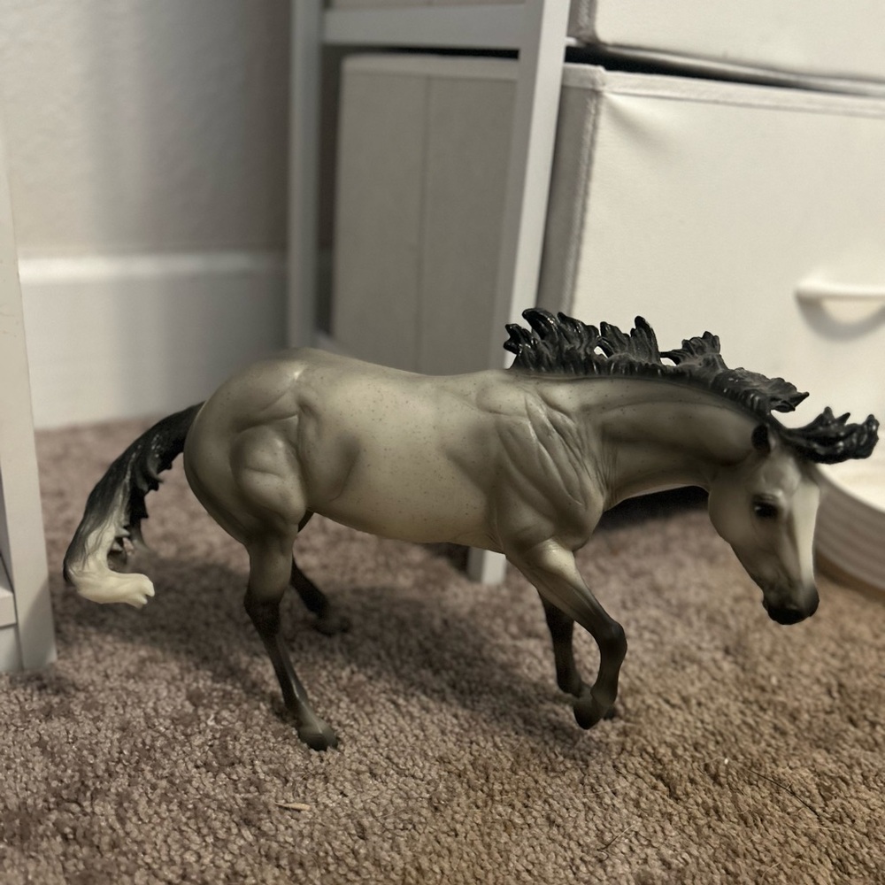 Breyer Cirius